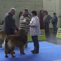 Salzburg Clubschau Mai 06 110 